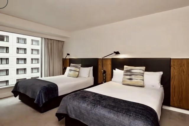 Executive Suite