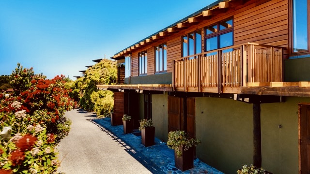 Family Tree House